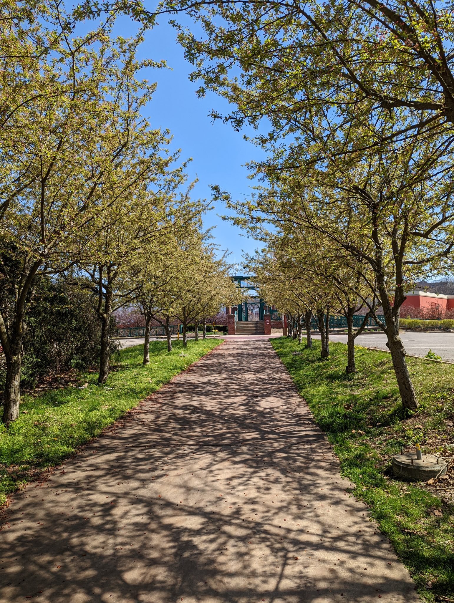 Tree-lined concrete footpath